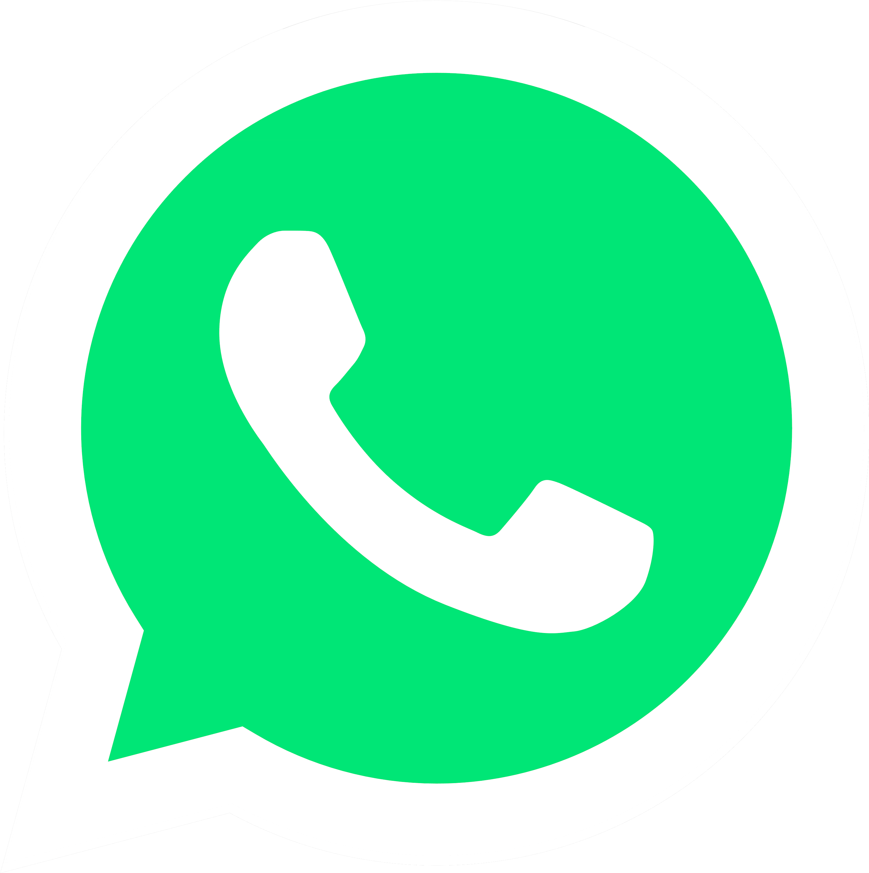 Chatta su Whatsapp